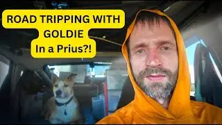 Car Camping With My Dog Goldie | Arizona to California Road Trip Adventure