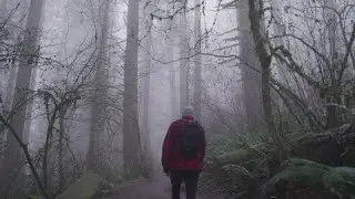 5 SCARY NATIONAL PARK & RESERVES HORROR STORIES