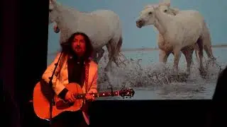 Thomas Di Leva - Fri Vild Och Stark (Live Palladium Malmö 2024-04-25)