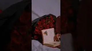 Flowers🌹🌹