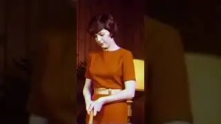 Правильный уход за ковром (пародия на социальную рекламу 1970-х) | Как расчесывать ворсистый кове...