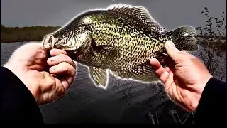 Sight fishing for SLABS! Epic Strikes On Film!