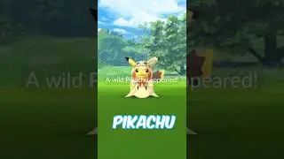 Rare Pok&eacute;mon You Can No Longer Catch