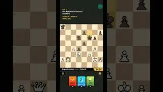 Chess Universe - Magnus Runestone - Level 15