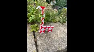 Magic snake: How to make a Giraffe.