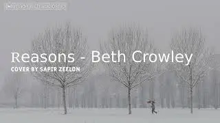 Beth Crowley - Reasons. Cover by Sapir Zeelon