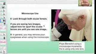 Microscopy video