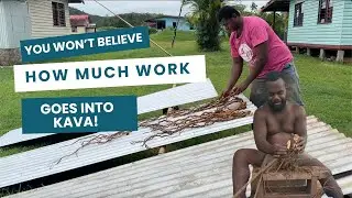 Kava Processing 101 – Cutting, Cleaning & Drying Part 2 II Month of Mayhem Day 29_Vlog 190