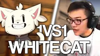 BTMC FINALLY DESTROYS WHITECAT...?