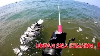 Mancing ikan patik dengan umpan sisa kemarin malah panen || Dam ijo semarang