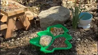 LIVE! Bird and Chipmunk Feeder Cam Picnic Table