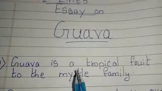 12 Lines on Guava fruit || Essay on Guava Fruit in english