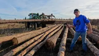 Это происходит в кустах