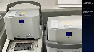 🧪 DNA-profiel maken met PCR - 4 vwo NLT Forensische onderzoek uitleg 8.5 en 8.6