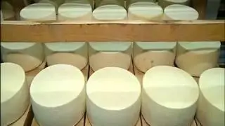 Proizvodnja tvrdog sira