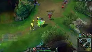 flash insano