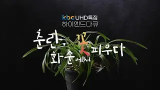 [KBC UHD특집 하이엔드다큐] 춘란, 화순에서 꽃 피우다