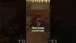 This is a REAL voxel game!
