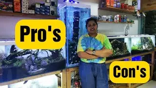Is Your Bare Bottom Aquarium Harming Your Fish? | Blessings Aquarium