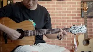楚门 Trumon TS mini11|Taylor GSmini