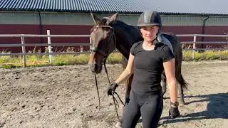 Første vlogg - En dag i stallen