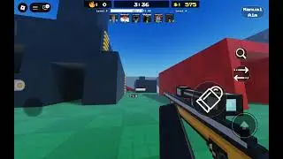 Playing Flick