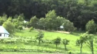 La Locurele  - Poiene de vis