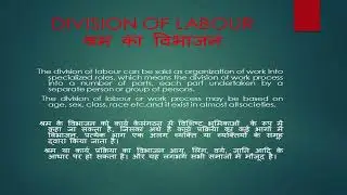 gender div of labour