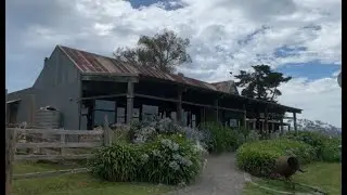 Scenic Wine Tours Yarra Valley | Affordable Luxury for Families - Red Carpet Wine Tours