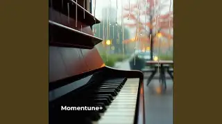 Hushed Moments