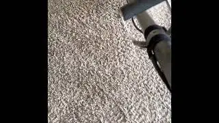 Carpet cleaning, dirty polyester carpet, and rental property in Nampa Idaho