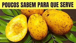 Você Não Imagina que 1 CAJÁ Possa Fazer Tudo Isso! (Como Usar e Benefícios)