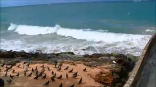 IslaVerde old Spanish spillway steps to beachfront
