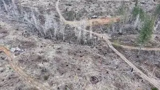DJI Mini 5 Pro - Waypoint Mission Drone Footage- Former Forest Fire Area