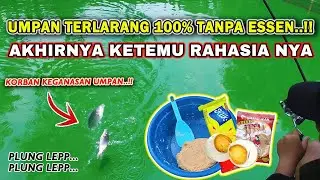 RESEP UMPAN IKAN MAS TANPA ESSEN❗ UMPAN TERJITU SOLUSI IKAN SUSAH MAKAN ❗❗