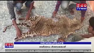 Cheetha Skin Caught By Forest Officers In Maredumilli@DESHAMTV NEWS