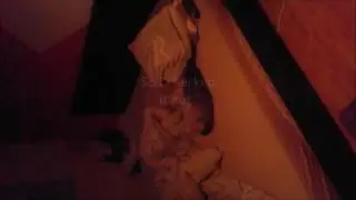 Guilty Dog Ruins Bed