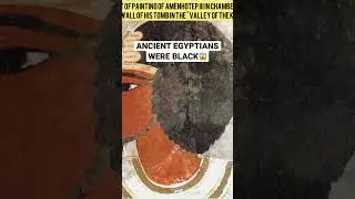 Ancient Egyptians Were Black Africans 🤯 #history #fact #ancient