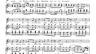 Franz Schubert: Winterreise 