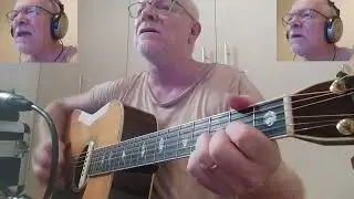 Haven't we lost enough (Crosby Stills & Nash cover)