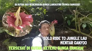 Solo Into the Jungle — Almost Lost, Found a Rare Titan Arum | Episode 1