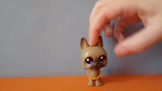 lps sb&iacute;rka main 5
