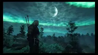 [4K] The Witcher 3 - 50+Mods | PLM + Blitz FX