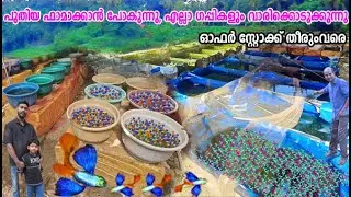 പുതിയ ഫാമിലേക്ക് മാറുന്നു, ഗപ്പികളെല്ലാം വിറ്റൊഴിവാക്കുന്നു, കിടിലൻ ഓഫർ  | Alankar Guppy Farm