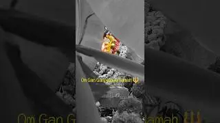 Ganapati 🔱🫂 #shortsfeed #shorts #ganapati #vinayaka #vigneshwara #ganapatibappamorya #ganapatishorts