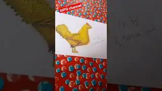 real hen drawing in oil pastel / AIPG channel