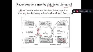 Redox reactions in environmental systems