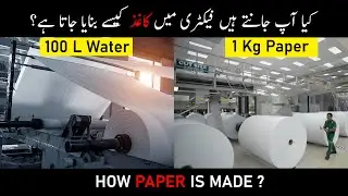 How Paper is Made | How Woods Turns into Paper | Paper Manufacturing | Urdu & Hindi | Khamosh Raaz