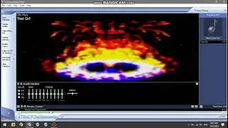 Plenoptic visualizations of windows media player 9