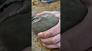 Smooth Stone CRACKED by Pebble Beach 🦕🪨 #shorts #beach